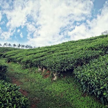 The Windflower Resort & Spa, Vythiri Wayanad Buitenkant foto