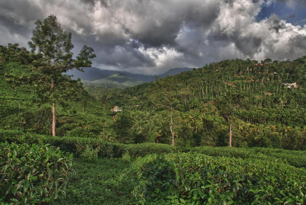 The Windflower Resort & Spa, Vythiri Wayanad Buitenkant foto