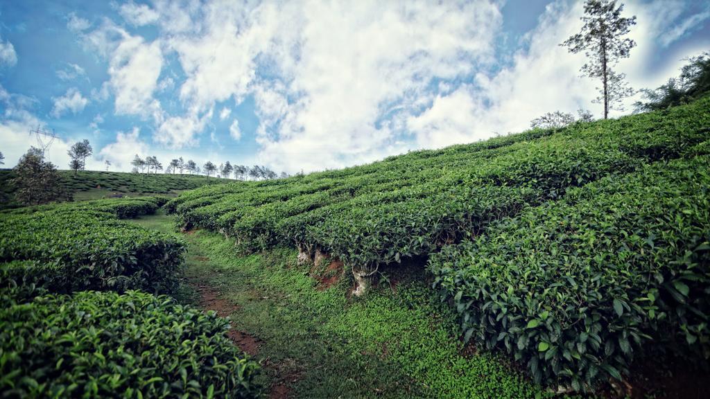 The Windflower Resort & Spa, Vythiri Wayanad Buitenkant foto